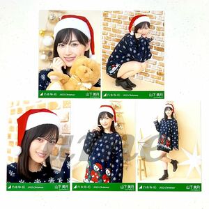 《乃木坂46》公式グッズ 生写真 山下美月 5枚 5種 2022年12月 5枚セット クリスマス2022 Christmas サンタ　ヨリチュウヒキ座り ぬいぐるみ