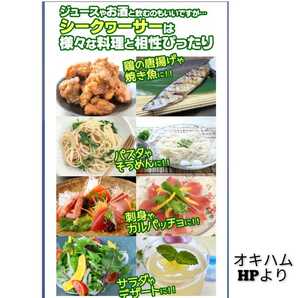 【激安】沖縄県産 シークァーサー果汁100% 500ml PET 3本 オキハム  シークヮーサー 送料無料 賞味期限2023.3月以降の画像6