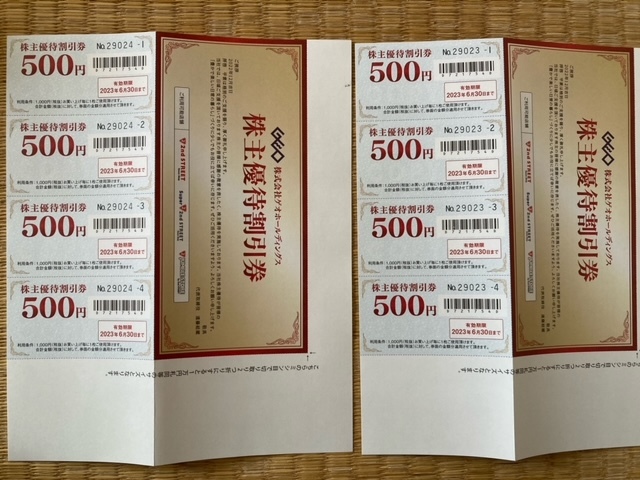 超目玉枠】 ゲオホールディングス 株主優待券 2023年6月末期限