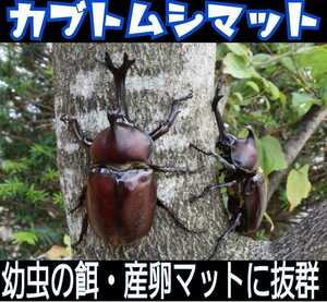 カブトムシ幼虫の餌　産卵にはこれ！幼虫が大きくなります！ひらたけ発酵マット20リットル　抜群の栄養価！飼育のサポートも致します(^-^)