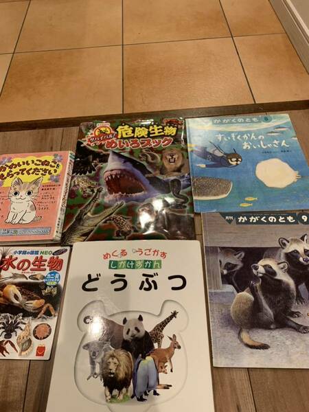 かわいいねこ　危険生物　動物　海の生物　水族館　かごくのとも　児童書 大量セット　絵本　漫画　コミック　知育　図鑑