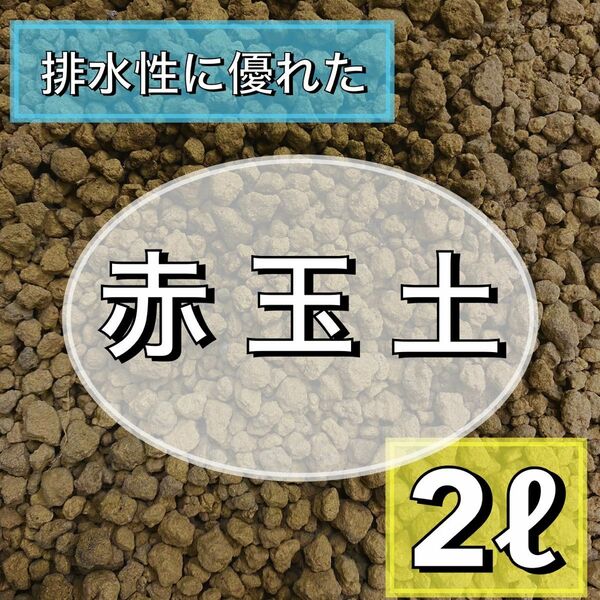 赤玉土 2L 小粒 多肉植物 サボテン 観葉植物 土 ガーデニング　エケベリア　玉扇　腐葉土　アガベ