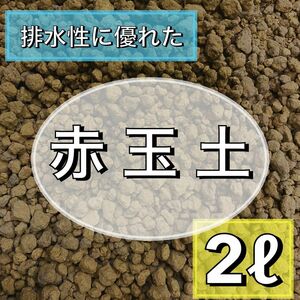 赤玉土 2L 小粒 多肉植物 サボテン 観葉植物 土 ガーデニング　エケベリア　玉扇　腐葉土　アガベ