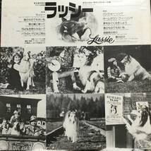 ラッシー／シャーマン兄弟（オリジナル・サウンドトラック）　(LPレコード)　The Magic Of Lassie/Sherman Brothers、名犬ラッシー_画像2