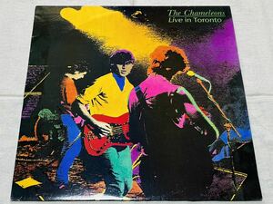 THE CHAMELEONS★カメレオンズ★LIVE IN TORONTO★ILLUSION036★UKインディー★swamp thing★monkey land★less than human