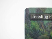 MTG 繁殖池 Breeding Pool ギャラクシーFOIL UNF-BF 土地R 537 英語 #U5081_画像3