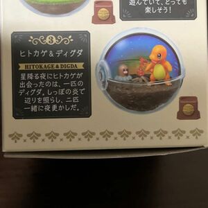 ポケモン　ポケットモンスター　ラテリウムコレクション 10th ヒトカゲ＆ディグダ