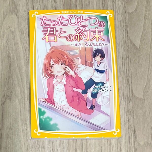 たったひとつの君との約束　また、会えるよね？ （集英社みらい文庫　み－６－１） みずのまい／作　Ｕ３５／絵