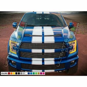 グラフィック デカール ステッカー 車体用 / フォード F150 ラプター / バイパー フルボディ ストライプキット