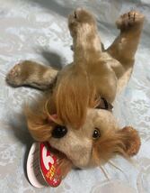 Ty BEANIE BABIES Schnitze シュナウザー ぬいぐるみ ビーニーベイビー ビーニーズ BABIE 10yrs【誕生日:2002年10月15日】いぬ イヌ 犬_画像10