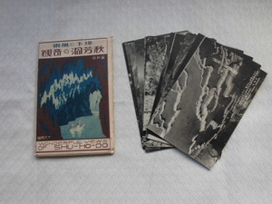 T39　秋芳洞の奇観　地下の風景　絵葉書　ポストカード　