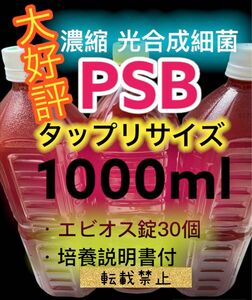 光合成細菌 濃縮 PSB めだか 針子 培養説明書付 ゾウリムシ