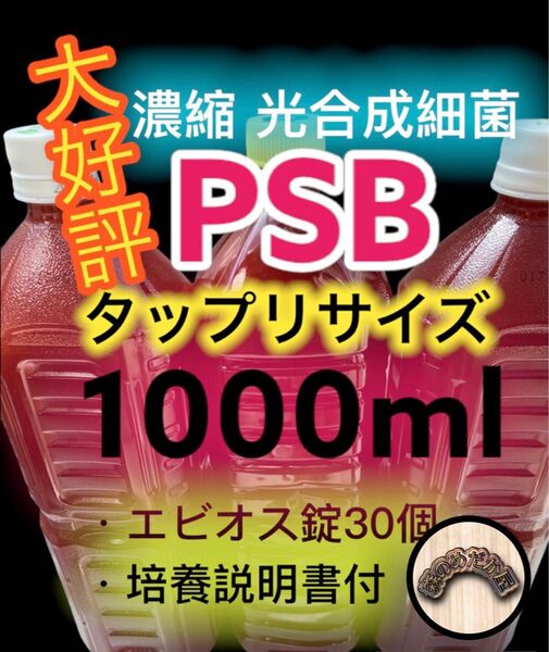 光合成細菌濃縮 PSB めだか 針子 培養説明書付 ゾウリムシ