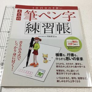 即決　未読未使用品　全国送料無料♪　大人の筆ペン字練習帳　JAN- 9784901425643