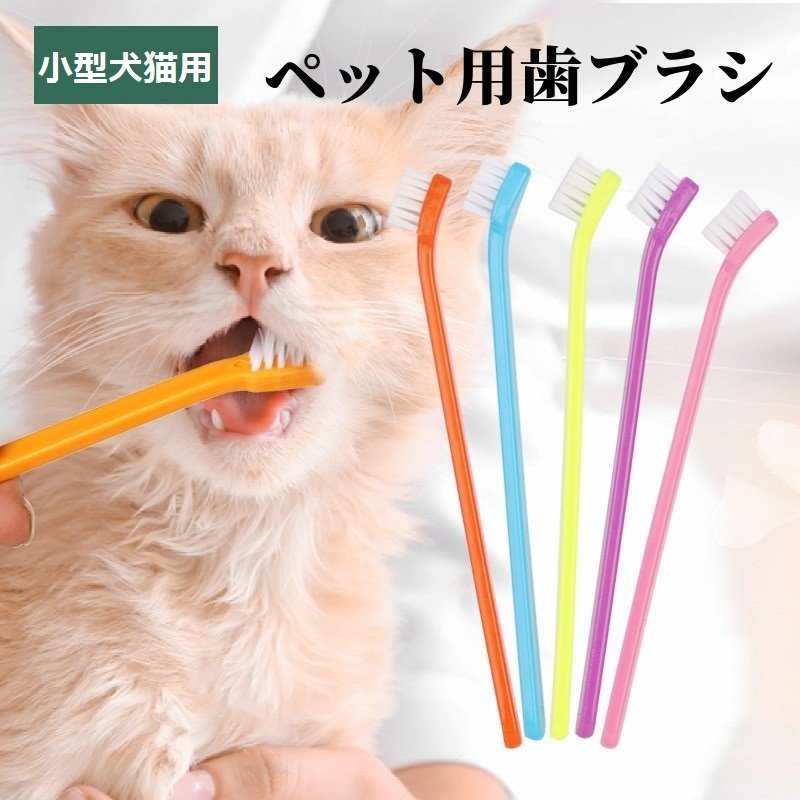 半額SALE☆ ビバテック シグワン 猫用歯ブラシ 猫 デンタルケア
