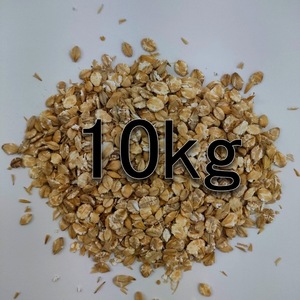 ＜送料無料＞外国産皮付き圧ぺん大麦 10kg 　アッペン大麦　押し麦　圧片