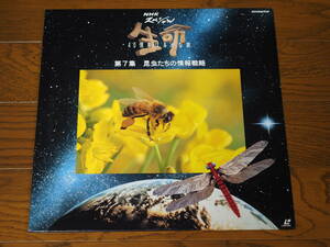 LD!NHK special life *40 hundred million year is ....! no. 7 compilation insect ... information strategy 