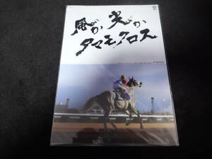 JRA ヒーロー列伝No.25 タマモクロス クリアファイル 新品未開封 2015年来場ポイント ウマ娘