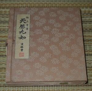 書道具 墨　青墨　玄林堂　天保九如　約８０ｇ　使用品