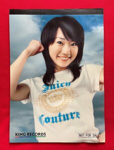 水樹奈々 キングレコード レポート用紙 店頭特典用 非売品 当時モノ 希少　A11869