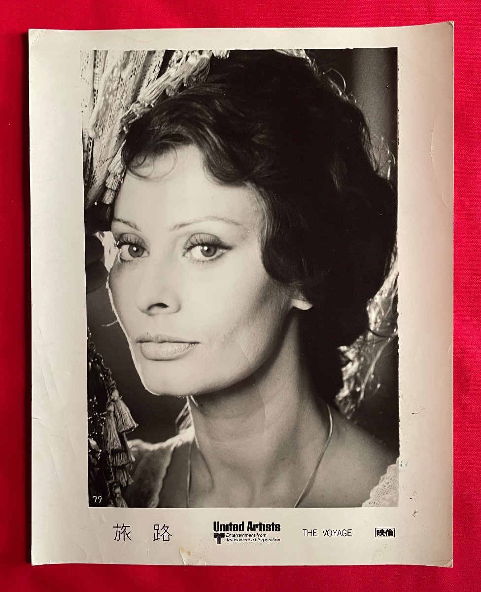 Película de gran tamaño Journey Sophia Loren Lobby Card Sin agujeros para chinchetas No está a la venta Original Rare A11620, película, video, Productos relacionados con películas, fotografía