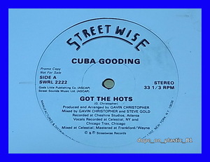 Cuba Gooding / Got The Hots/Gavin Christopher/Main Ingredient/High Voltage/プロモ白ラベル/US Original/5点以上で送料無料!!!/12'