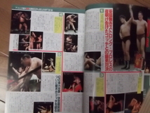 日本スポーツ。ゴング１９８６年４月号。マスカラス。馬場。プロレス。。猪木_画像2