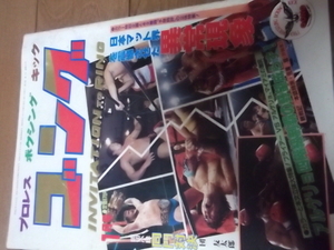 日本スポーツ。月刊ゴング１９８３年１月号。マスカラス。馬場。プロレス。。猪木
