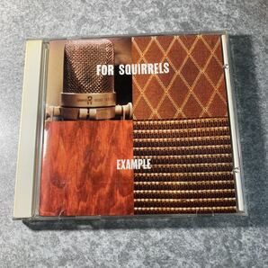 FOR SQUIRRELS EXAMPLE 輸入盤