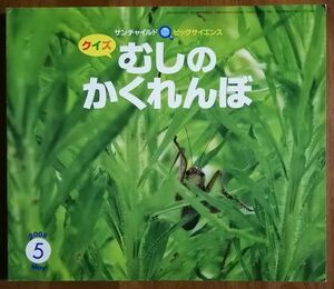 サンチャイルド　ビックサイエンス 「むしの　かくれんぼ」 2008年5月号