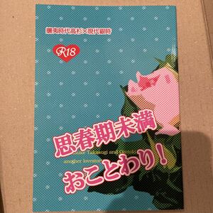 銀魂 同人誌 思春期未満おことわり！ 高銀 高杉晋助×坂田銀時 小説 女性向け BL