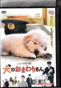 DVD レンタル版 邦画 犬のおまわりさん 中尾明慶