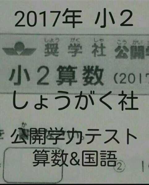 奨学社 公開学力テスト 小2 算数国語 2科目 一年分 浜学園 希学園 馬渕