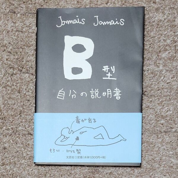 B型自分の説明書