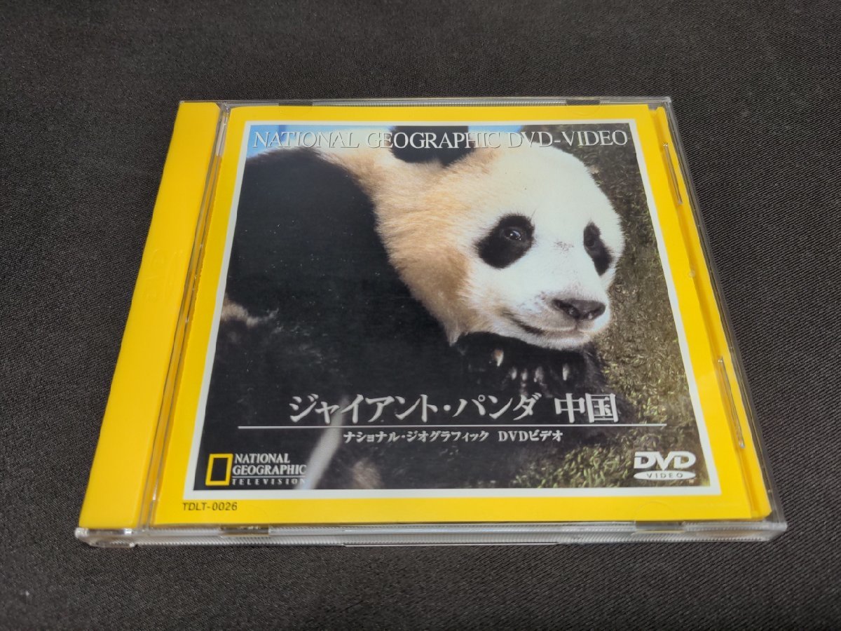 本日の目玉 お値下げ中 新品未開封DVD ナショナルジオグラフィック 20本セット