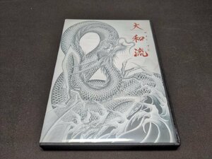 セル版 DVD 大和流 やまといずむ / サーフィン / cz211