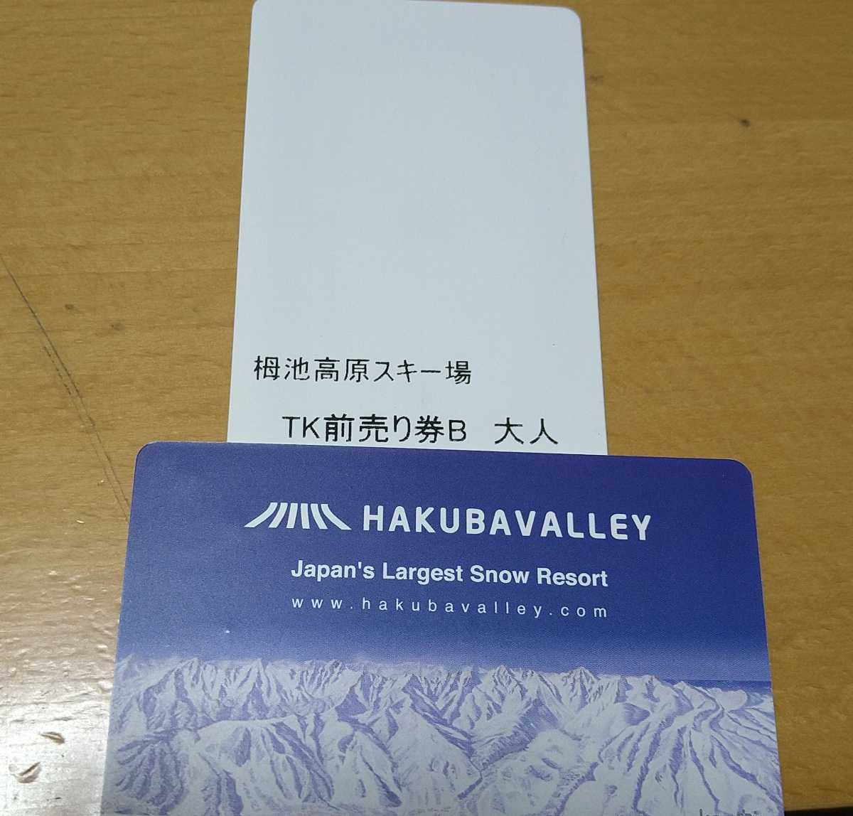 豪華 栂池高原スキー場 2022/2023 シーズン 大人 1日券 2枚 bogota