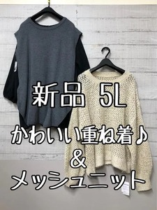 新品☆5L♪可愛いベスト＆ブラウスとメッシュニットをまとめて♪☆s123