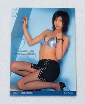 安田美沙子　カード　トレカ1_画像1