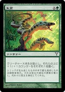 MTG ■緑/日本語版■ 《生育/Thrive》ディセンション DIS