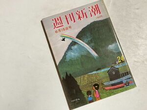 週刊新潮 1978年6/15号 山崎会長の脱税 日展スキャンダル、女流写真家ジゼル・フロインド「作家の肖像」、日本放浪列車 唐笠