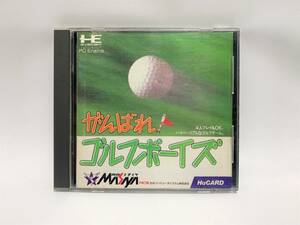 ★動作確認済み★がんばれゴルフボーイズ★ケース・説明書付き★