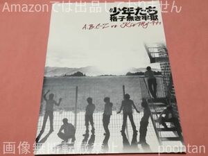 少年たち 格子無き牢獄 A.B.C-Z vs Kis-My-Ft2 パンフレット