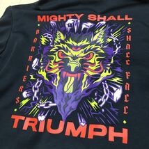 NIKE◇DRI-FIT /ナイキ /メンズL 長袖 ジャケット ジャージ パーカー 黒 裏起毛 ロゴプリント MIGHTY SHALL TRIUMPH スポーツウェア_画像9