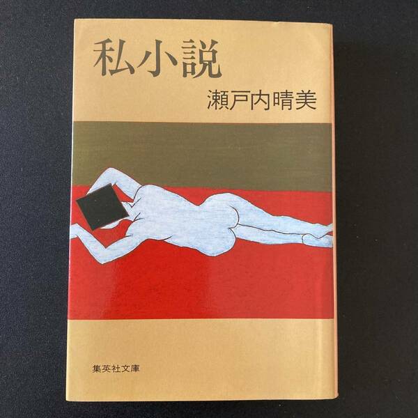 私小説 (集英社文庫) / 瀬戸内 晴美 (著)