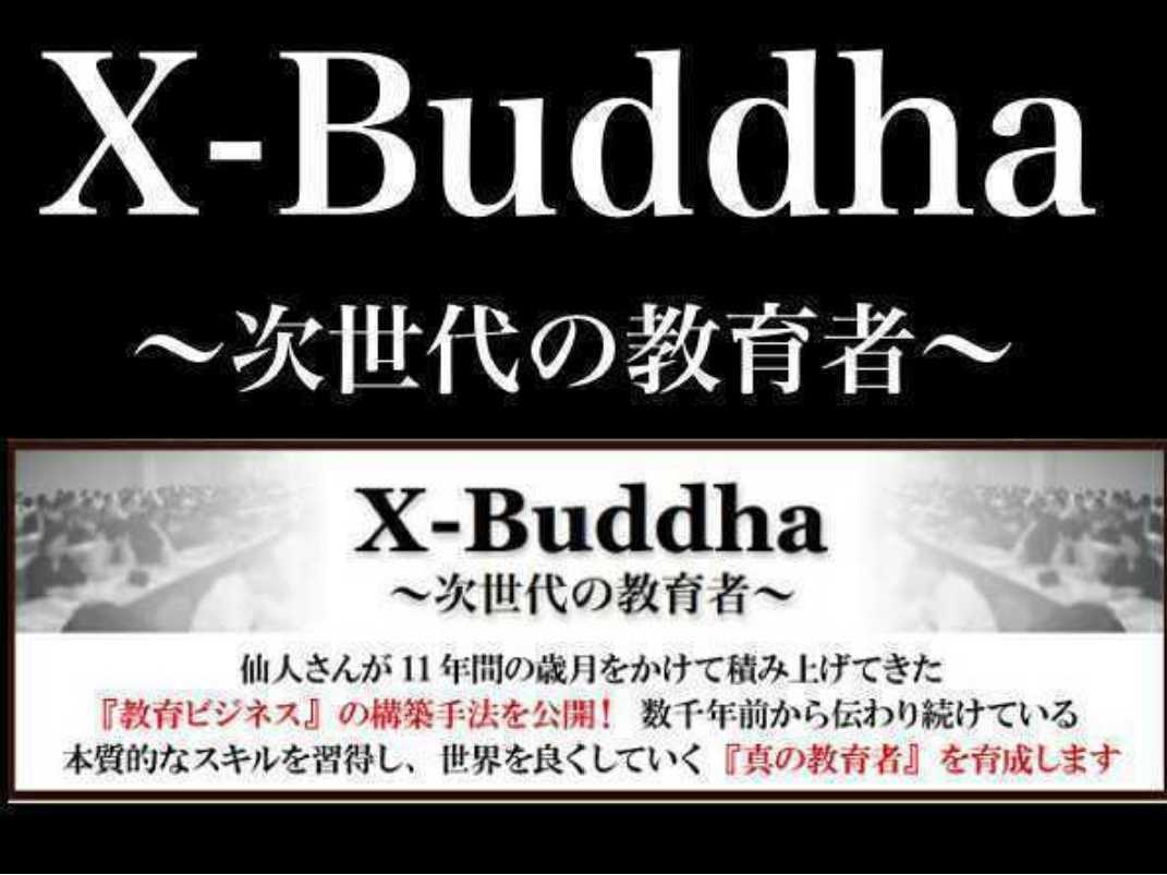 ヤフオク! -「mr.x 仙人さん」の落札相場・落札価格