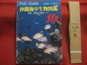 ★☆★沖縄海中生物図鑑 　　第２巻 　　 ◆魚 　　 【沖縄・琉球・自然・海洋生物】