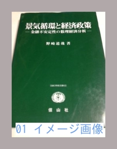 景気循環と経済政策―金融不安定性の数理経済分析 (SBC学術文庫) 野崎…