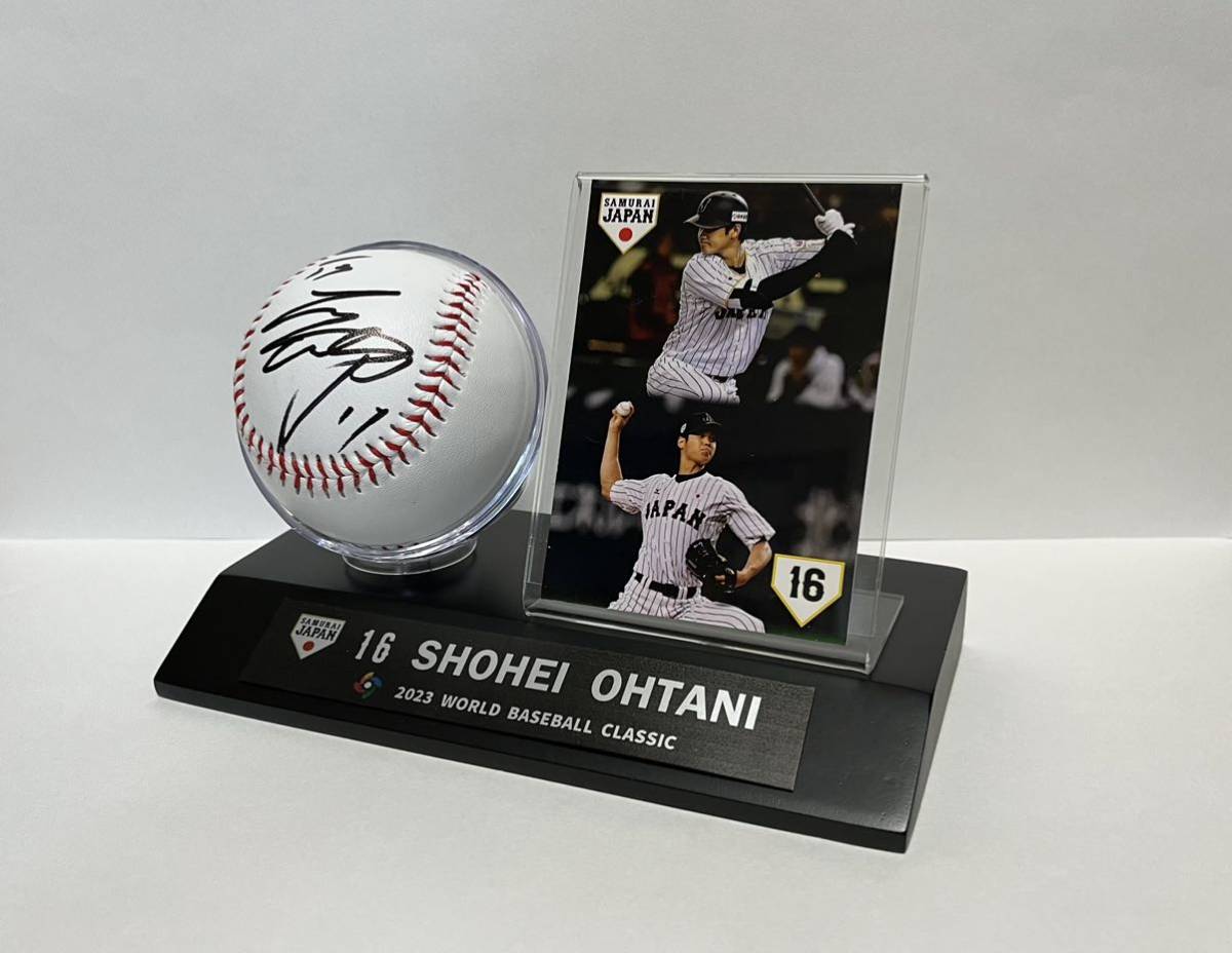 満点の満点の大谷翔平 北海道日本ハムファイターズ 直筆サインボール