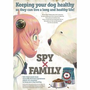 SPY×FAMILY スパイファミリー DVD 4巻 特典 描き下ろし ポスター ライナーノーツ アーニャ ボンド